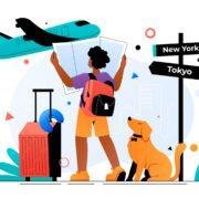 Tourist Visa Denied Steps: What to Do Next